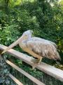 ZOO Praha